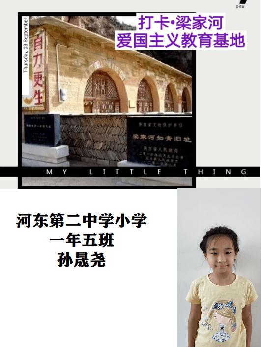 陕西眉县:国家一级保护动物野生羚牛频现红河谷